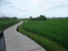 Joggingpad bij Rijstveld in Denpasar
